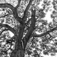 Poznański fotograf w światowej czołówce