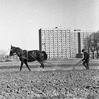 Poznańskie mikrokosmosy