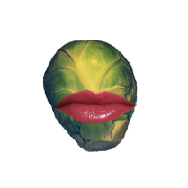 Praca Jakuba Paprockiego: Brukselka