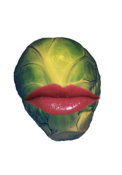 Praca Jakuba Paprockiego: Brukselka