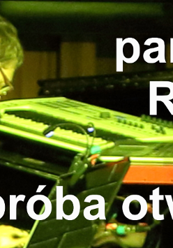 Mężczyzna siedzi tyłem do obiektywu. Gra na pianinie elektrycznym.