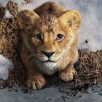 PROSTO Z EKRANU. Hakuna Mufasa