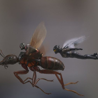 PROSTO Z EKRANU. Mały, ale wariat