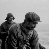 PROSTO Z EKRANU. To światło jest moje