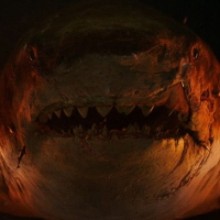 PROSTO Z EKRANU. W pysk rekina