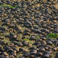 Przestroga przed zagładą