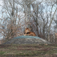 Przewijając do początku