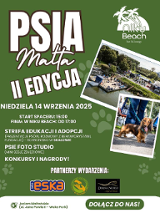 Informacje o spacerze z psami nad jeziorem Maltańskim.