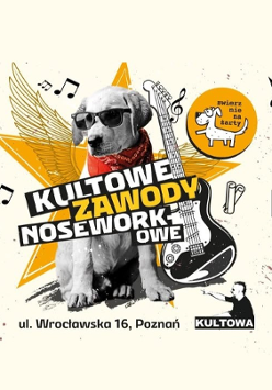 Informacje o zawodach dla psów, w centrum pies w ciemnych okularach i bandanie siedzi obok gitary elektrycznej.