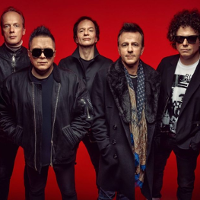 Psy szczekają i idą dalej