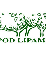 na białym tle zielone drzewo