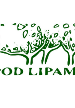 na białym tle zielone drzewo