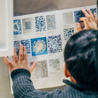 Refleksje i refleksy