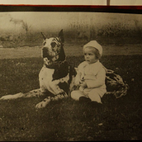 Rodziny Katyńskie - Starkowscy