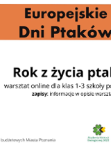 Rok z życia ptaków