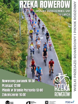 Zdjęcie asfaltowej ścieżki rowerowej ciągnącej się między łąkami, którą wypełniają rowerzyści