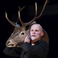 ROZMOWY W GARDEROBIE. Zobaczyć psa w kłębku wełny