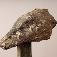 Rzeczywistości wewnętrzno-zewnętrzne