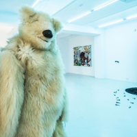 Saga o niedźwiedziu