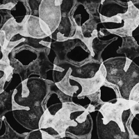 Seans o Stefanie Wojneckim