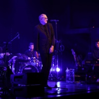 "Sęk", czyli pomysł na śpiewanie