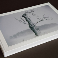 SESJA FOTOGRAFICZNA. Nie lubię tego szalejącego humanizmu