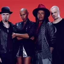 Skunk Anansie