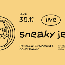Informacje o koncercie zespołu sneaky jesus.