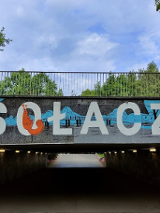 Kolaż trzech zdjęć, które przedstawiają fragmenty Sołacza, m.in. aleję kasztanowców i most z napisem "Sołacz".