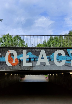 Kolaż trzech zdjęć, które przedstawiają fragmenty Sołacza, m.in. aleję kasztanowców i most z napisem "Sołacz".