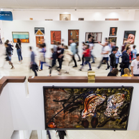 Spokojnie, nie tak szybko!