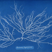 Spotkania z fotografią