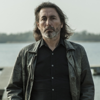 Stachura wg Kondraka