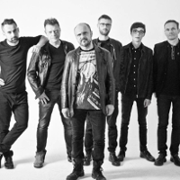 Stary niedźwiedź mocno grzmi