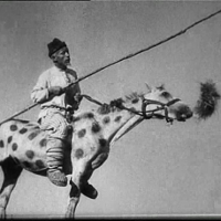 Szczęście z muzyką na żywo