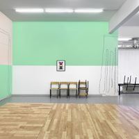 Sztuczne mikrospołeczności