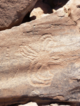 rysunki na kamieniach