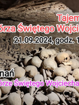 Zdjęcie przedstawia historyczne artefakty znalezione po wykopaliskach: wiele ludzkich kości.