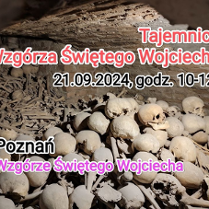 Zdjęcie przedstawia historyczne artefakty znalezione po wykopaliskach: wiele ludzkich kości.