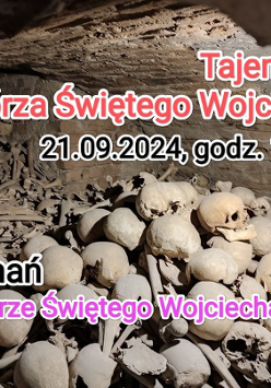 Zdjęcie przedstawia historyczne artefakty znalezione po wykopaliskach: wiele ludzkich kości.