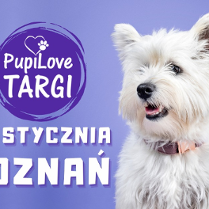 Po prawej biały maltańczyk, po lewej białe napisy z datą i nazwą wydarzenia. Tło grafiki ma fioletowy kolor.