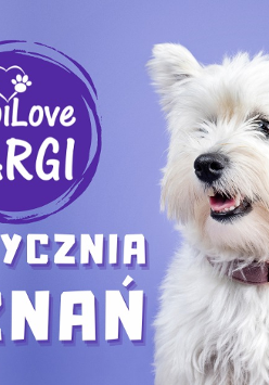 Po prawej biały maltańczyk, po lewej białe napisy z datą i nazwą wydarzenia. Tło grafiki ma fioletowy kolor.