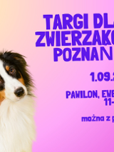 Na kolorowym tle trójkolorowy piesek z długą sierścią i długimi, oklapniętymi uszami. Piesek patrzy przed siebie i łagodnie pochyla głowę.