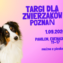 Na kolorowym tle trójkolorowy piesek z długą sierścią i długimi, oklapniętymi uszami. Piesek patrzy przed siebie i łagodnie pochyla głowę.