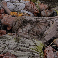 Tekstura, dźwięki, zbliżenia