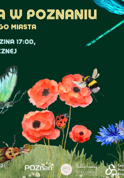 Grafika ilustrująca