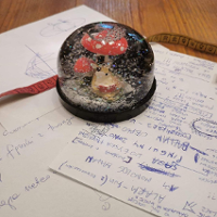 To nasza wspólna wina