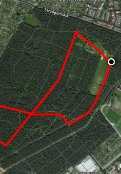 Mapka z zaznaczoną trasą biegu w okolicy Lasku Marcelińskiego.