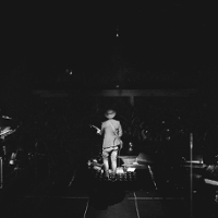 Trochę Smolika, szczypta Foxa