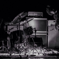 Trochę świeżego, żywego noise'u